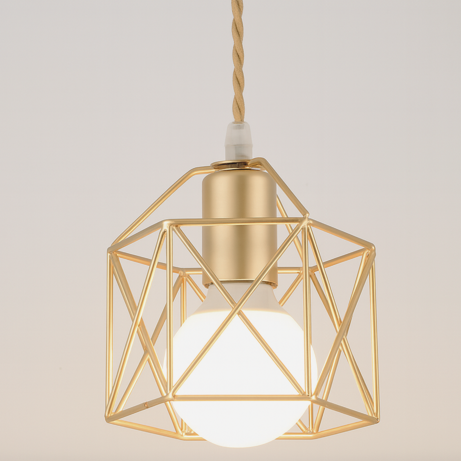 Modern LED Minimalist Metal Cage Living Room Pendant Lamp