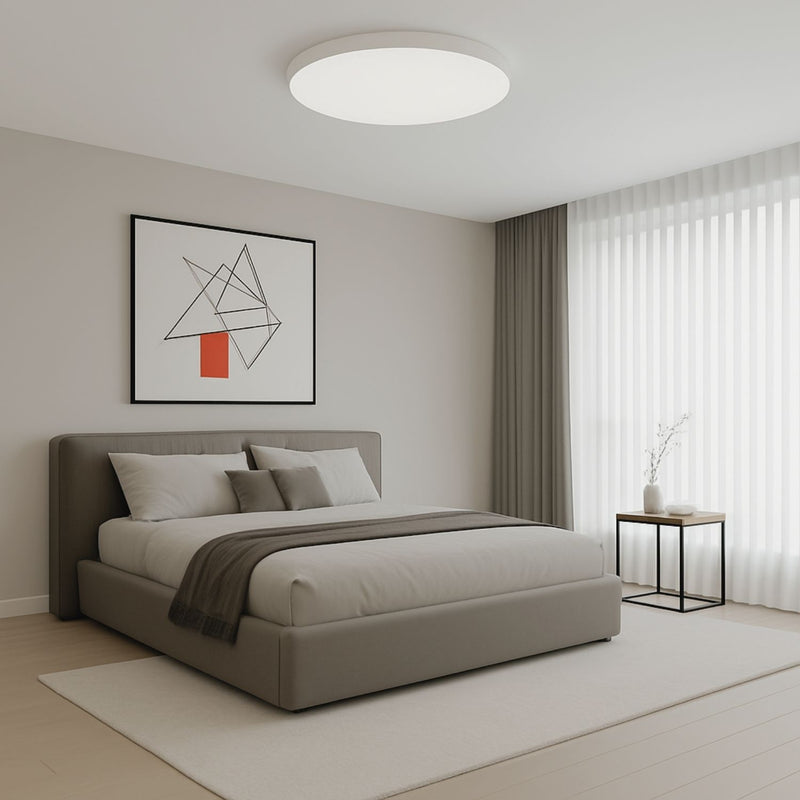 Modern Smart LED Ceiling Light for Bedroom and Living Room