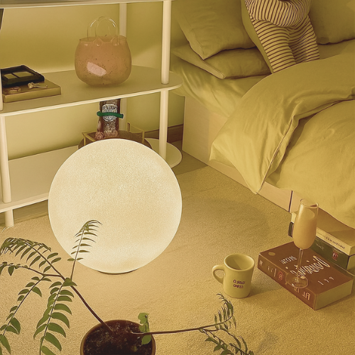 Image with text section